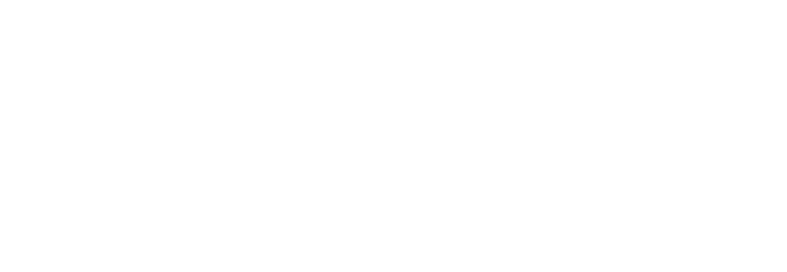 PERNER CONSULTING Logo